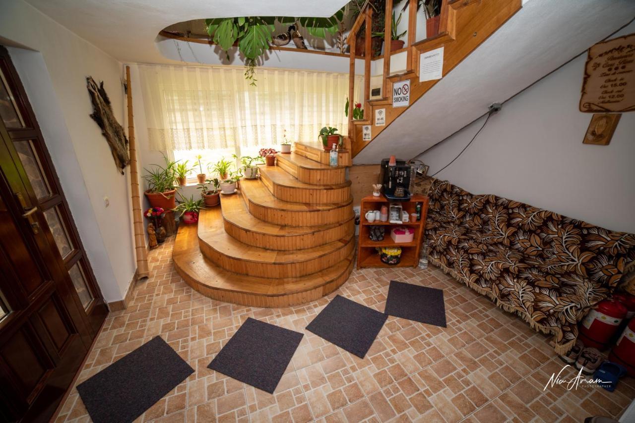 Casa Binu Hotel Arieşeni Eksteriør billede