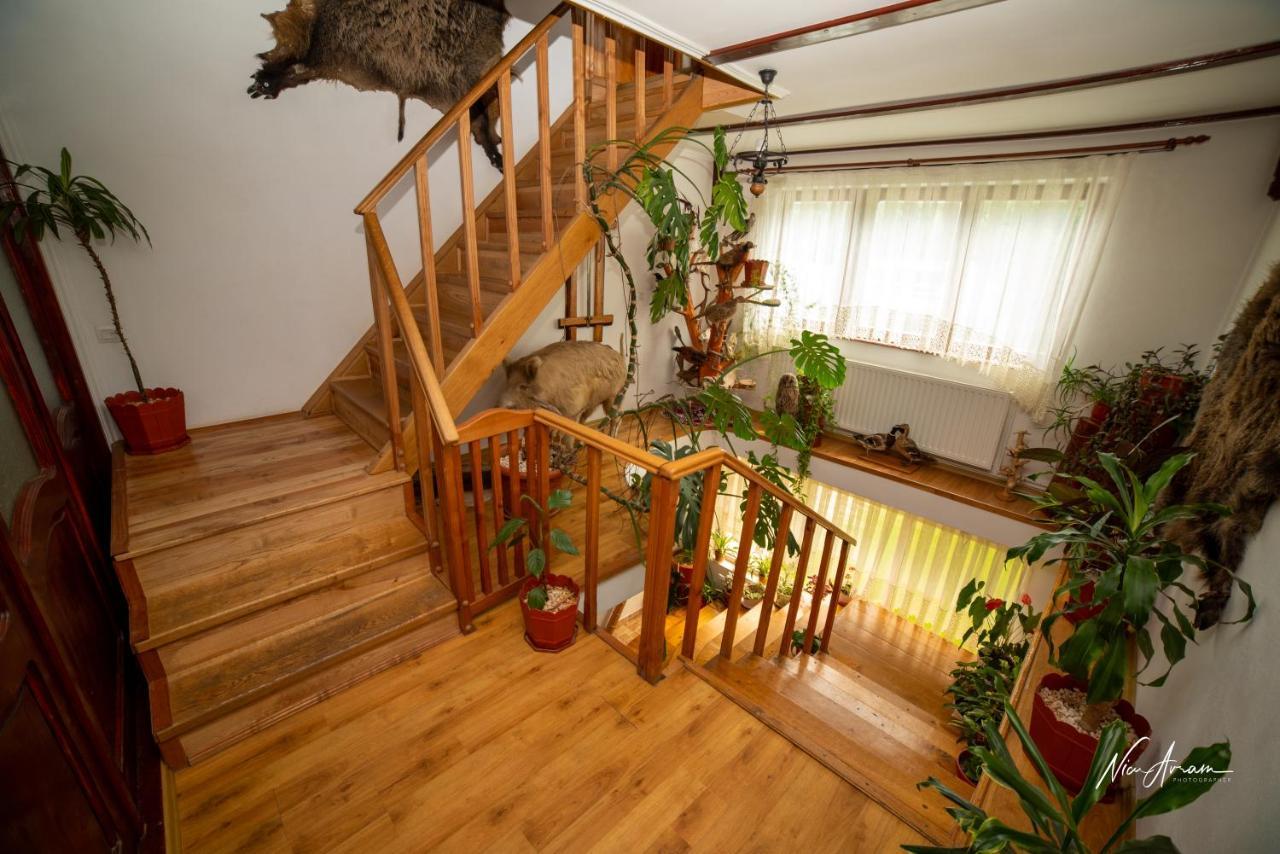 Casa Binu Hotel Arieşeni Eksteriør billede