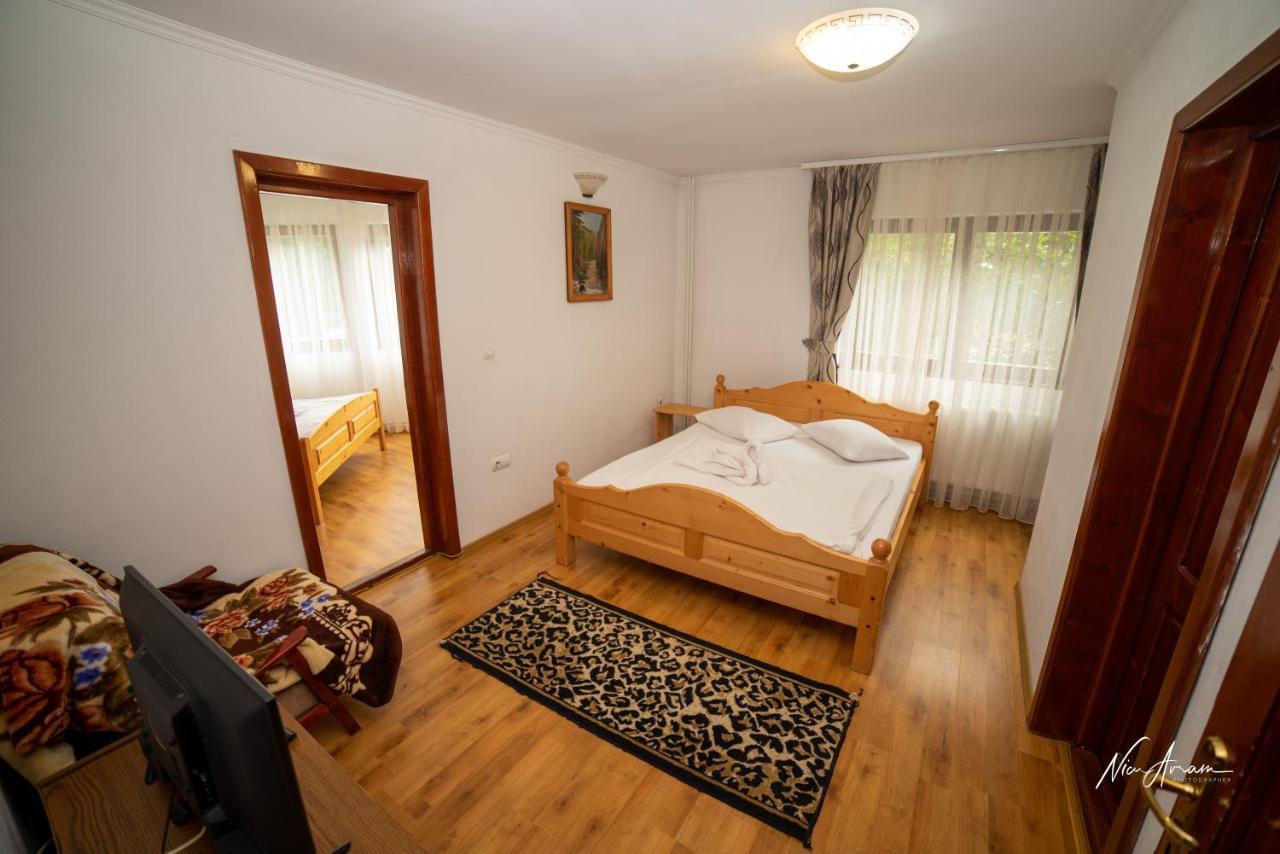 Casa Binu Hotel Arieşeni Eksteriør billede