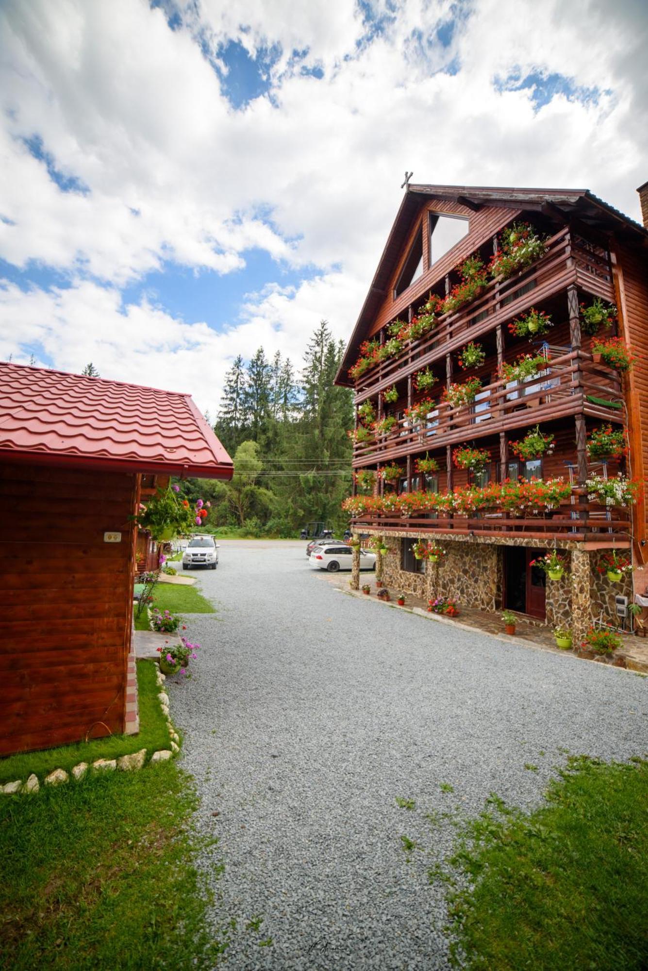 Casa Binu Hotel Arieşeni Eksteriør billede